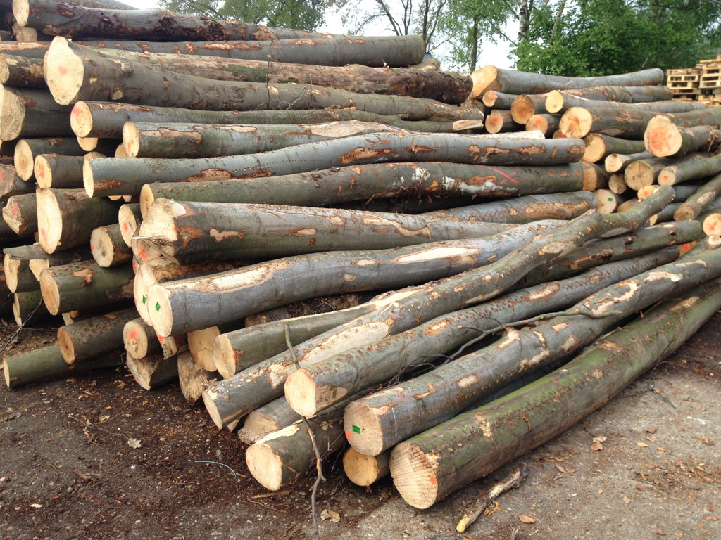 eiken gekloofd stammenhout - voor al uw kachelhout, haardhout en brandhout...